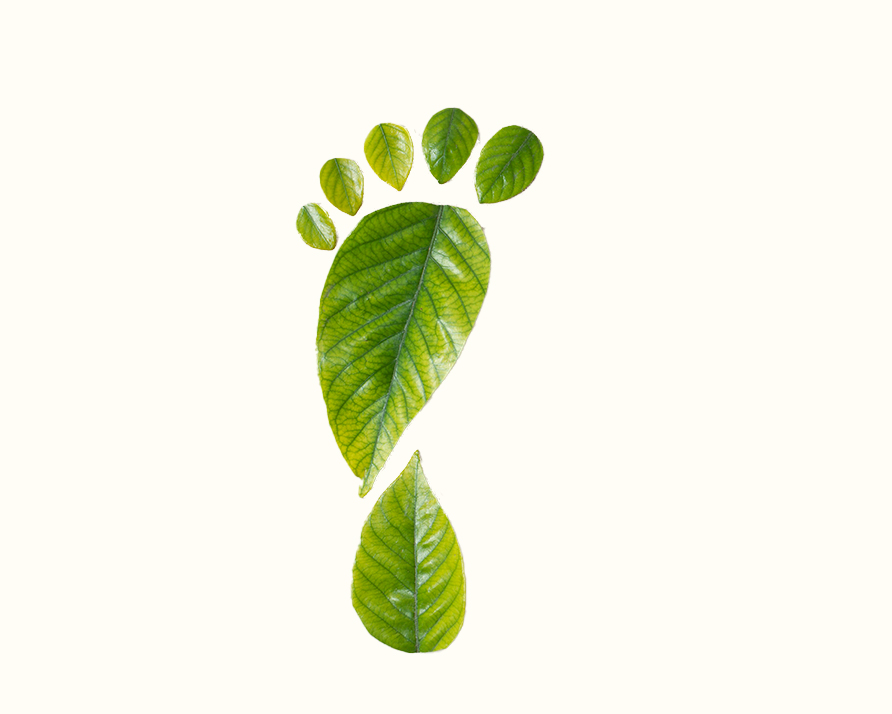 lineavero_websiteLayout-ecologico3